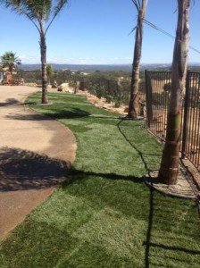 hydroseed - el dorado hills