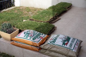 sod pallets - pre installation