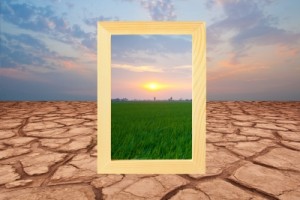 dry ground vs healthy grass