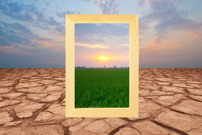 dry ground vs healthy grass